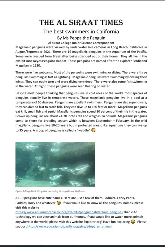 Year 4 students news reports